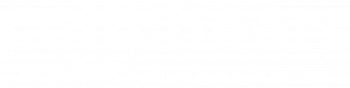 light logo